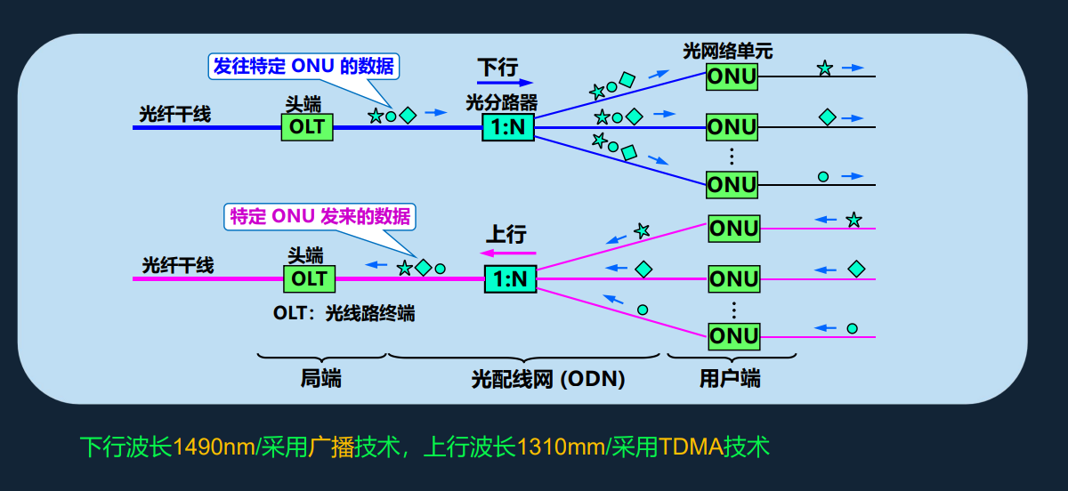 image-20250317204029006